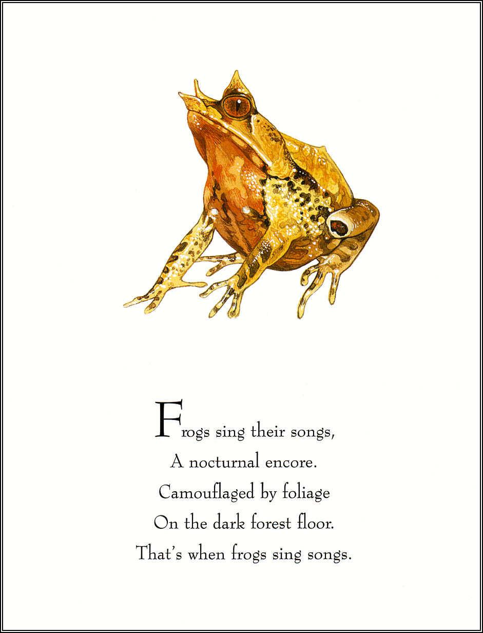 Frogs Sing Songs (10),绘本,绘本故事,绘本阅读,故事书,童书,图画书,课外阅读